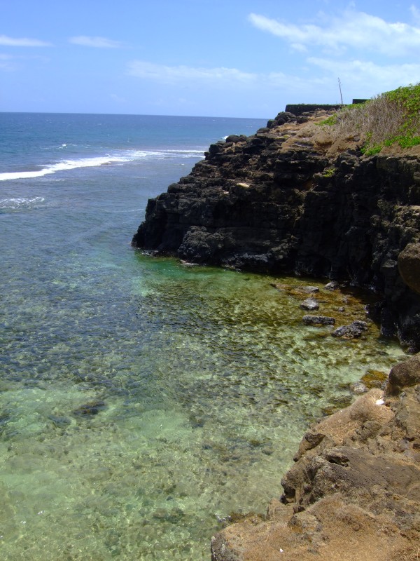 Mauritius 2010 - 0304 